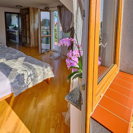 Homestay szállás U Bulisa Władysławowo